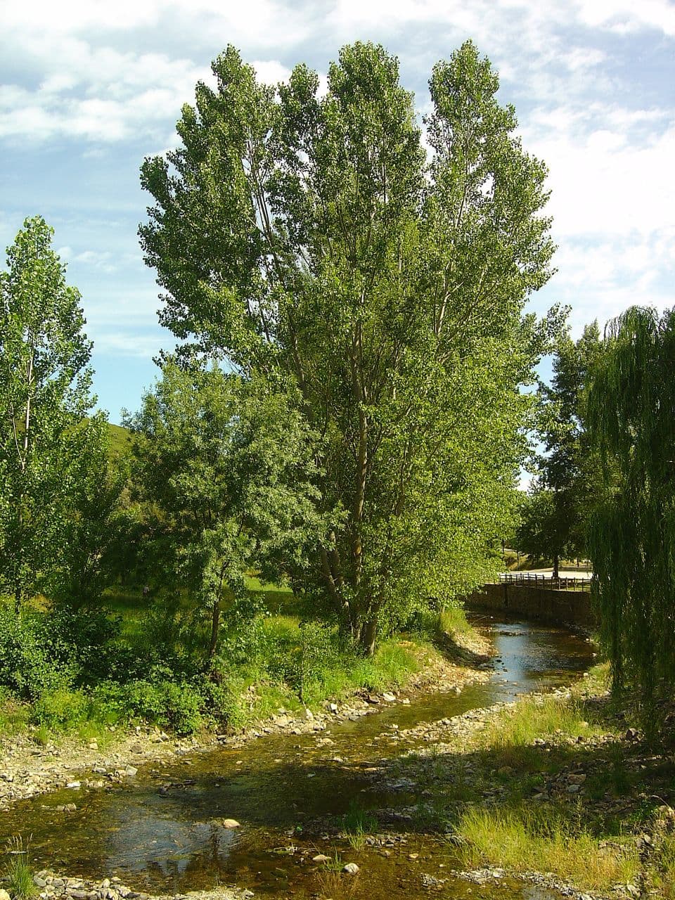 Parque de Campismo - foto 1