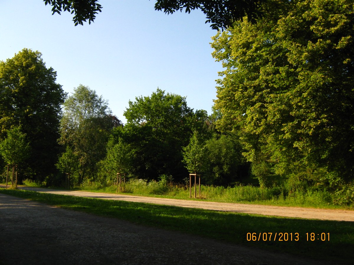 Wohnmobilstellplatz Hohnsensee - foto 1