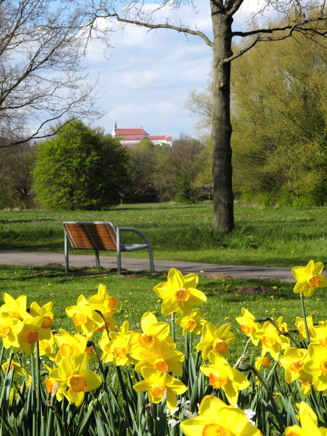 Stellplatz Johannisau - foto 1