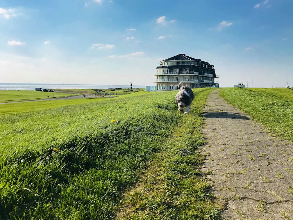 Camping Wremer Tief Nordstrand - foto 1
