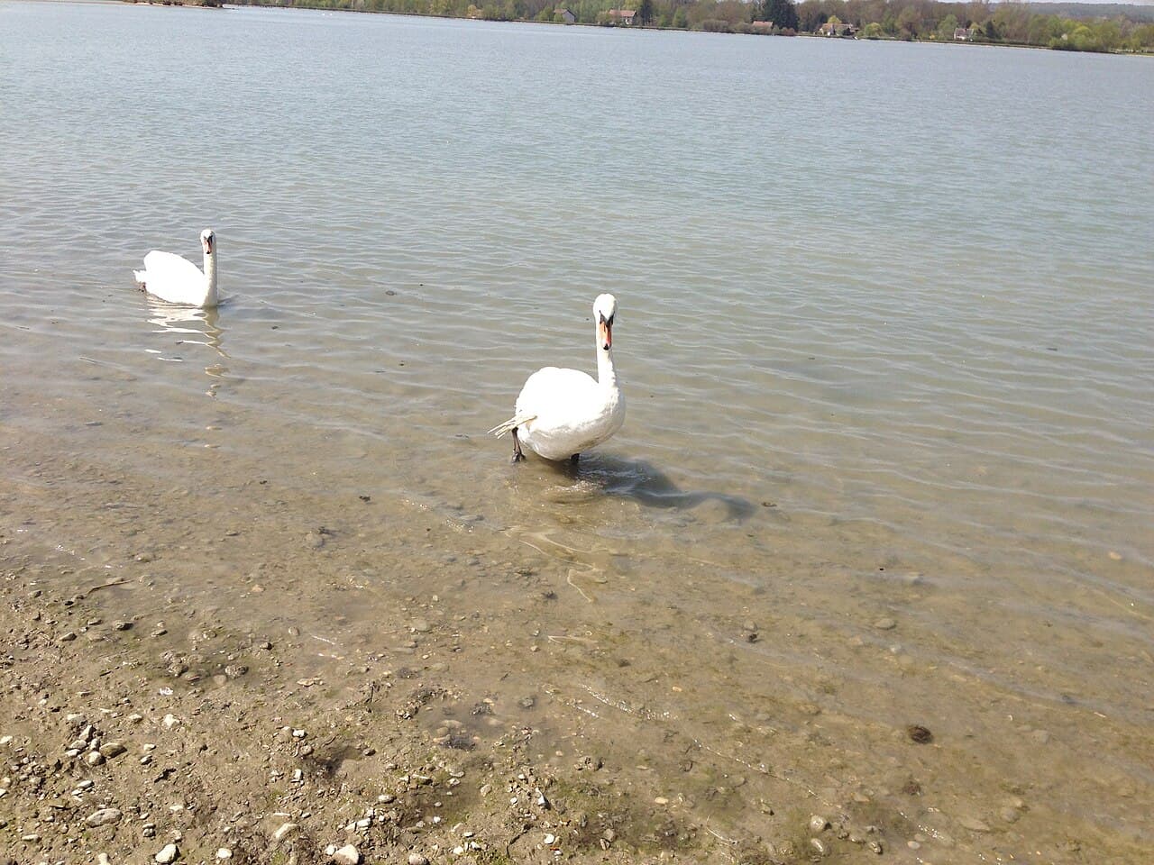 Le Point Vert - foto 1