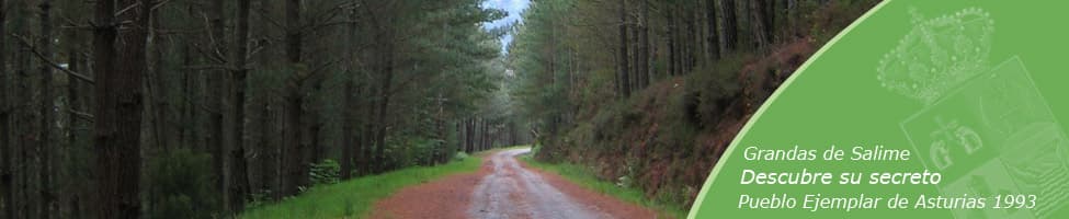 Área de Autocaravanas de Grandas de Salime - foto 1