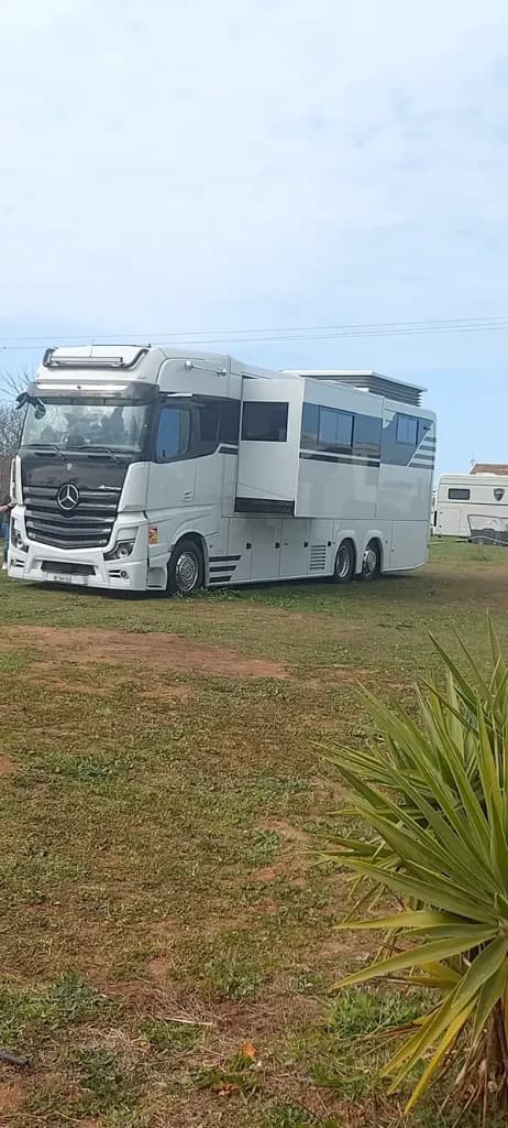 La Siesta de la Gaviota