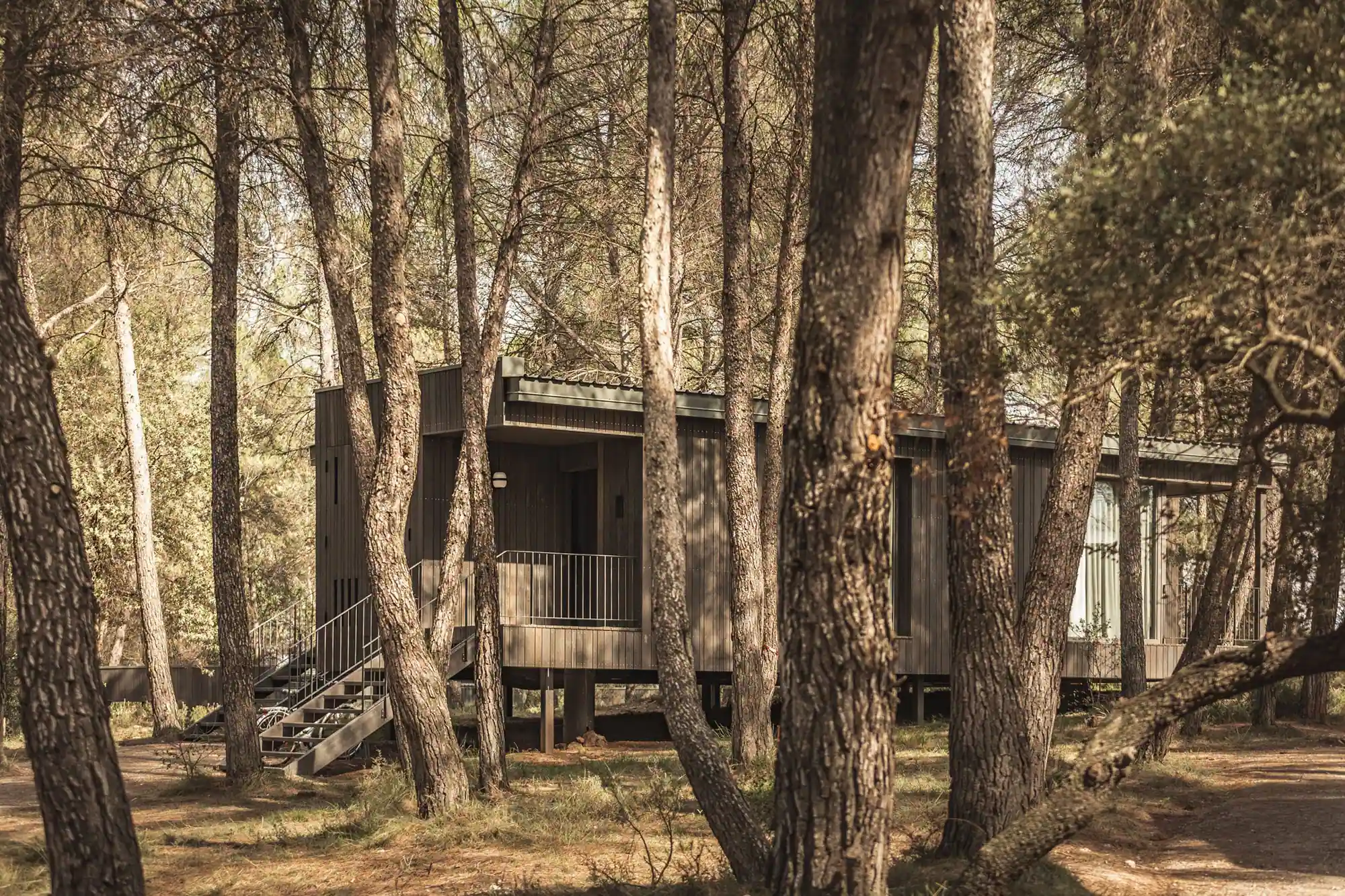 Zona d'acampada de l'Oller del Mas