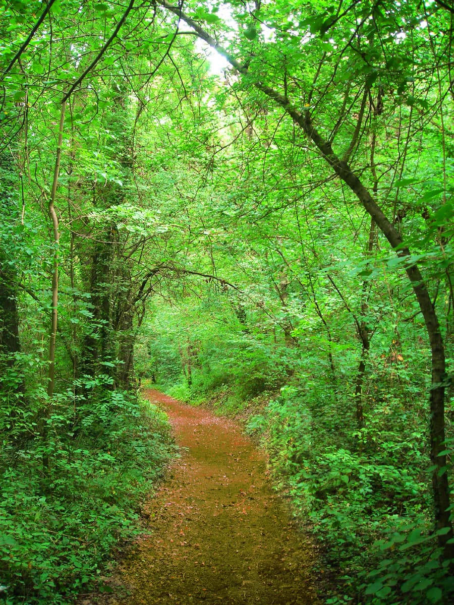 La Fageda
