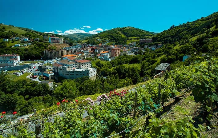 Área de autocaravanas de Cangas del Narcea - foto 1
