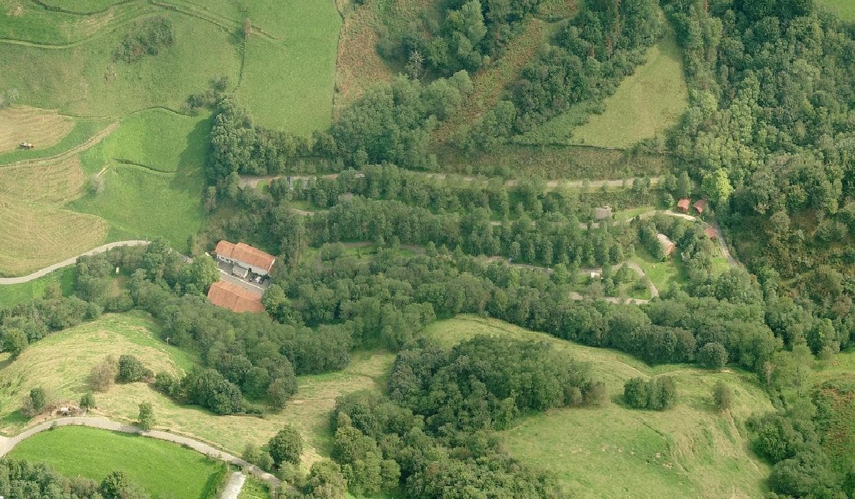 Zingira